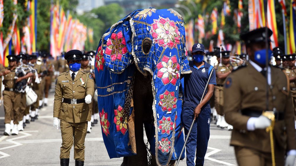 Fotky: Na přehlídku přijde i slon. Pět tisíc lidí vyčkává kvůli covidu pod zámkem